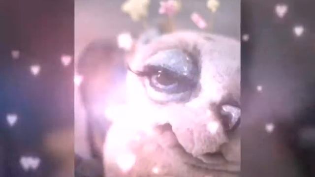 Хранитель добрых снов для Монстерия4 смотреть онлайн