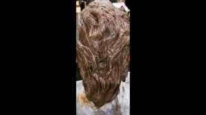 Камуфляж седины, уходим от привычного домашнего окрашивания