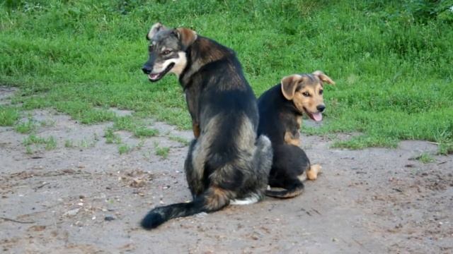Желаю огромного счастья и спокойствия на душе!??? Видео открытка в стихах для тебя! смотреть онлайн