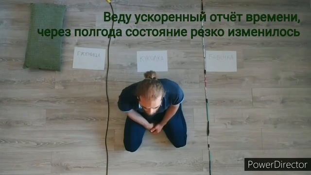 Самостоятельная Инициация Гусеница Куколка Бабочка смотреть онлайн