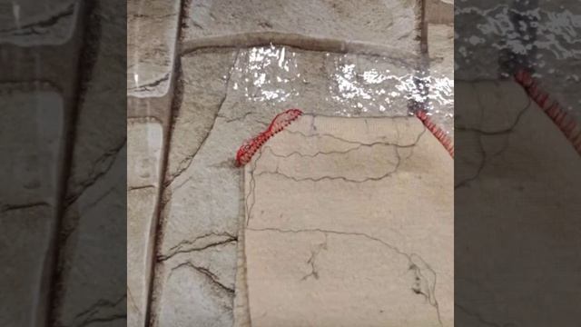 Комнатные сапожки смотреть онлайн