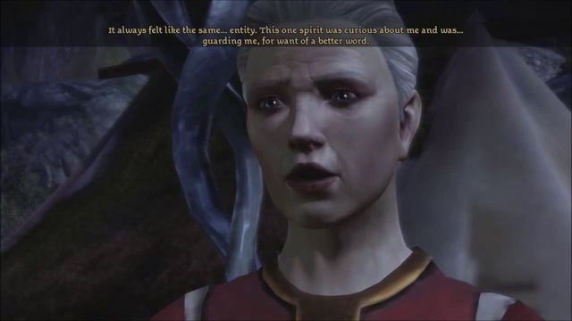 Dragon Age Origins [Elf Mage] with Commentary [Part 60]: Do Not Go Quietly смотреть онлайн