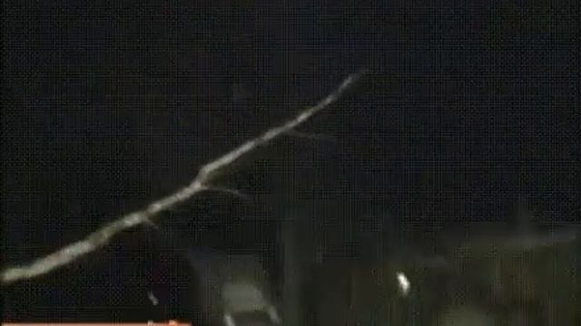 Как снимали кота с дерева смотреть онлайн