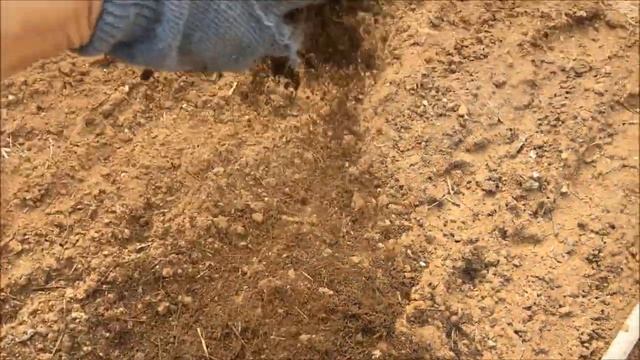 КАК ПРИГОТОВИТЬ ПЕРЕГНОЙ ВЕСНОЙ / СИДИМ ДОМА / МОЙ ЛИЧНЫЙ ОПЫТ САДОВОДСТВА смотреть онлайн