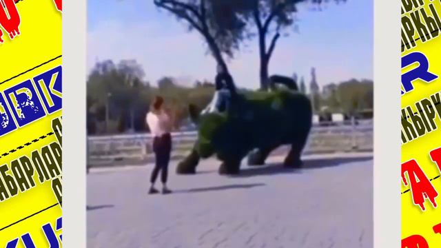 АЛА-АРЧА ӨРТТӨНУП ЖАТАТ | ЖАҢЫ КУРУЛГАН ПАРККА КЫЛГАН МАМИЛЕБИЗ! смотреть онлайн