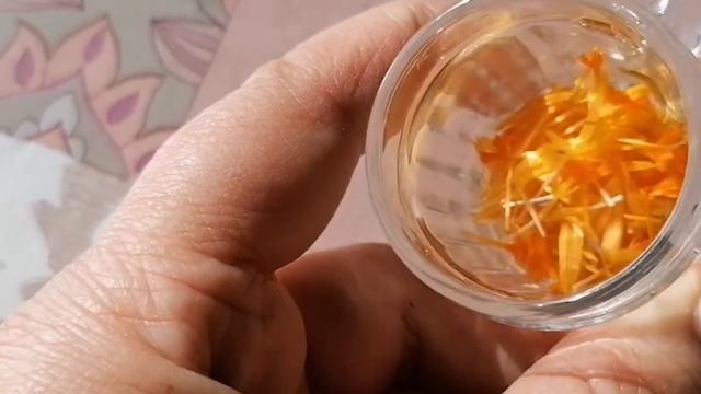 Стрижка кустов на даче ??собираем шафран? смотреть онлайн