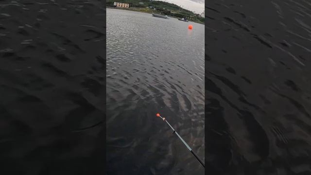 ОГРОМНЫЙ КЕРЧАК смотреть онлайн