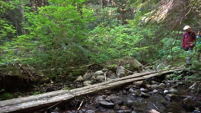 First Time Backcountry Camping - Kingscote Lake - August 2019 -Two Men and a Canoe смотреть онлайн