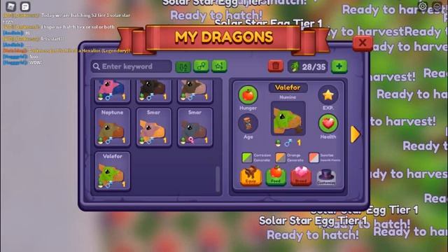 Hatching 52 Tier 1 Solar Star Eggs Dragon Adventures - Roblox смотреть онлайн