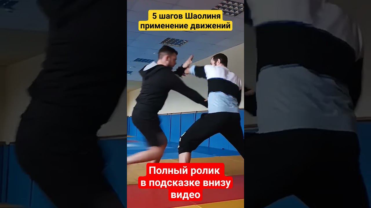 У Бу Цюань "Кулак 5 шагов". Боевое применение движений #кунгфу #шаолинь смотреть онлайн