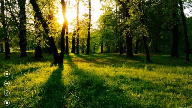 обзор приложения Relaxation для WINDOWS 8.1 (виндовс 8.1) смотреть онлайн