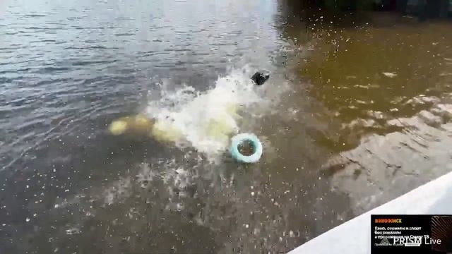 тут не глУбоко смотреть онлайн