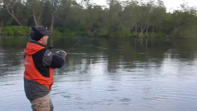 Рыбалка на чавычу, река Большая Воровская смотреть онлайн