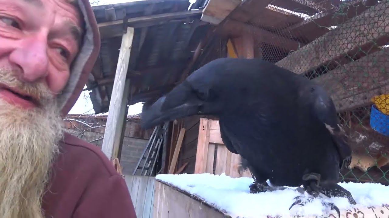 Перед самой длинной ночью 21.12.2022. смотреть онлайн