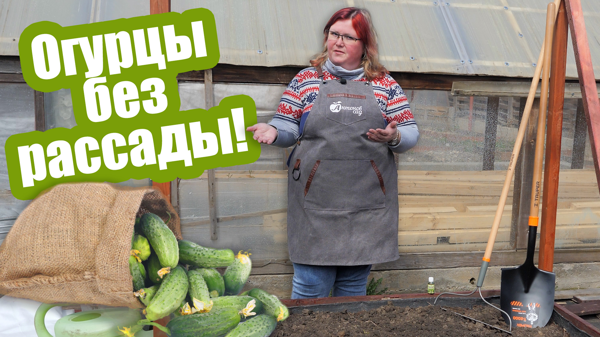 Посейте огурцы семенами прямо в грунт! Как подготовить грядку под огурцы смотреть онлайн