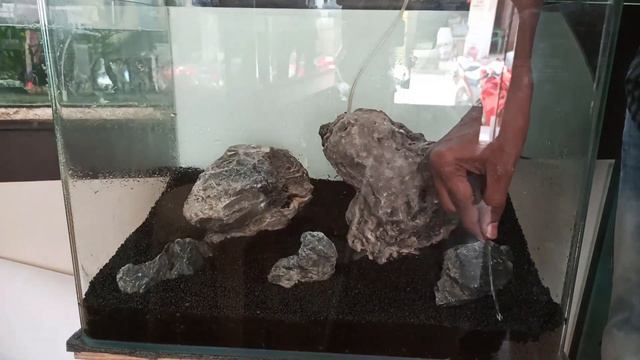 Planted Tank Setup In Tamil || 15 Days Update || Blue Moon Aquarium Hosur || Yogesh Balaji