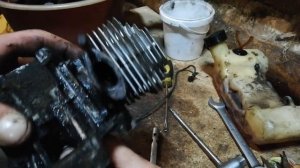 Ремонт+полная диагностика триммера Sturm BT8933D