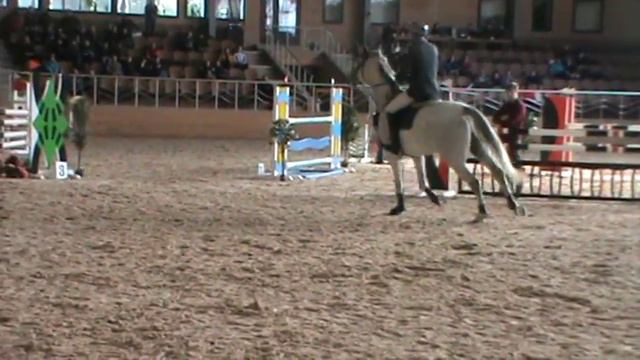 Продается Лого 120 см 300314 ПРОДАН смотреть онлайн