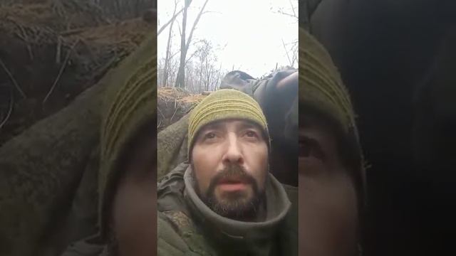 3 марта 2023 г. смотреть онлайн