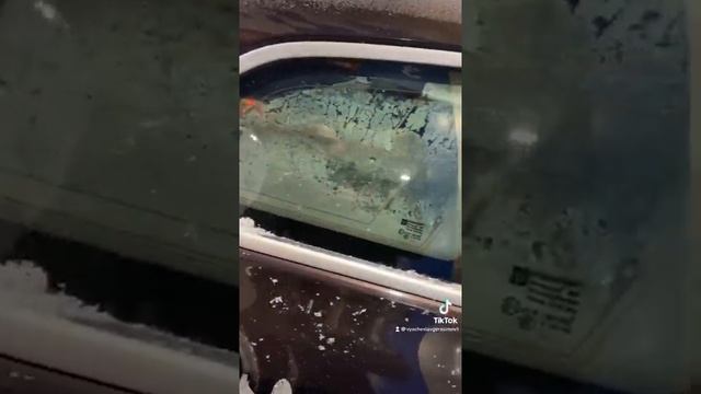 Мой ручной дракон ? смотреть онлайн