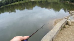 Рыбалка на спиннинг в Балашихе. Pontoon21 Grace Sonda