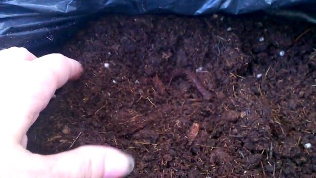 КОКОСОВЫЙ ГРУНТ для рассады, черенков и орхидей. Свойства и применение. #грунт_для_рассады смотреть онлайн