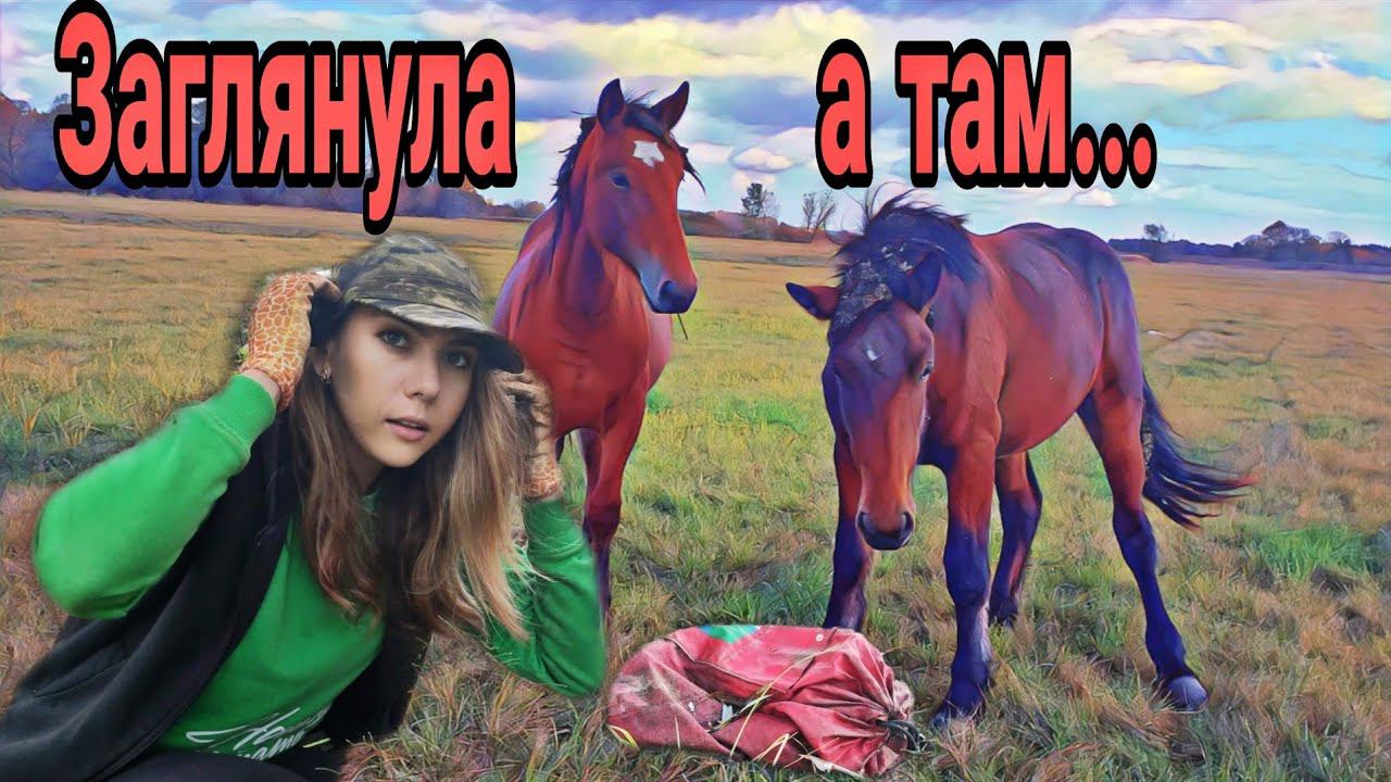 Коп 2022.Нашла загадочную сумку! Говорили же мне не трогать неизвестные предметы! смотреть онлайн