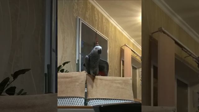 Ты не хочешь целоваться? смотреть онлайн