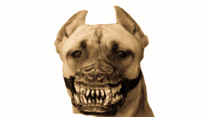 Собаки в намордниках.mp4