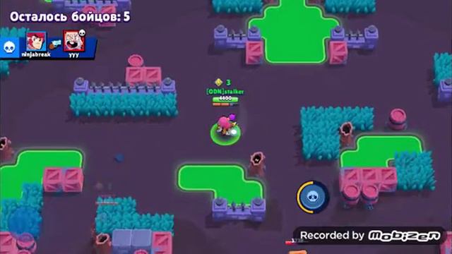 Купил Тару и скин на нее + задонил на акцию лунный новый год! Тоооп ставь лойс😉 смотреть онлайн