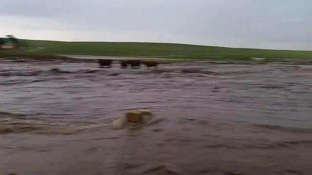 Село Серафимовское смотреть онлайн
