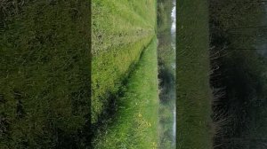 газонокосилка eco lg 735