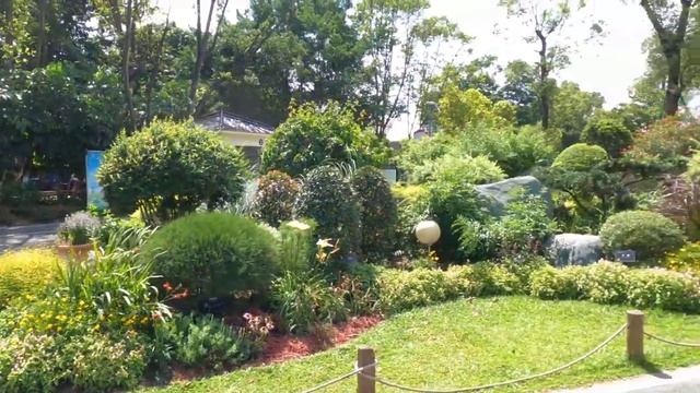 Botanical Garden In Dongguan City, Guangdong Province, China| Walking 东莞植物园