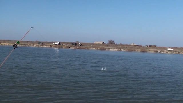 Соревнования по рыболовству смотреть онлайн