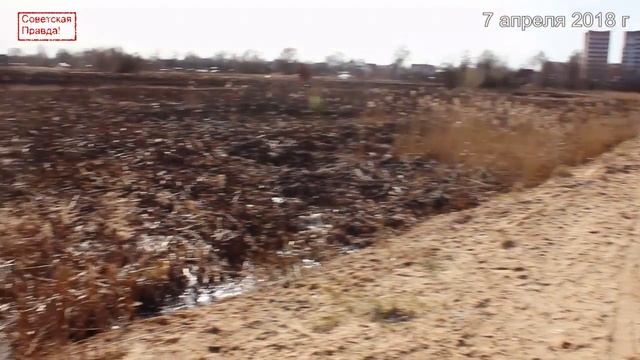 Очистка реки Тыльжа в фото смотреть онлайн