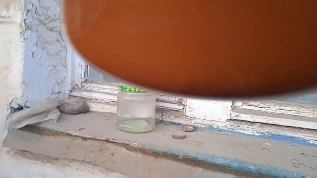 ЗОЛОТО— ЛЕГКО И ПРОСТО смотреть онлайн
