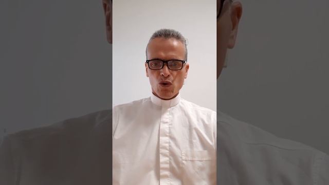 Chi perde in realtà trova.... смотреть онлайн