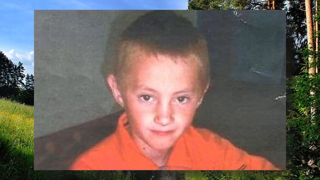 Загадочное исчезновение Саши Целых и Кости Кривошеева смотреть онлайн