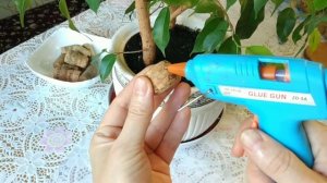 DIY Как защитить домашние цветы от кошки - самые безопасные методы!??