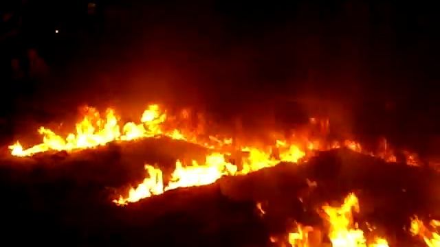 ФГУ посвят смотреть онлайн
