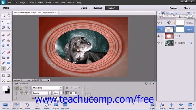 Photoshop Elements 12 Tutorial Layer Types Adobe Training Lesson 10.2 смотреть онлайн