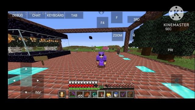 Minecraft public server Java+pe for any version (24/7) #minecraft#server#minecraftserver смотреть онлайн