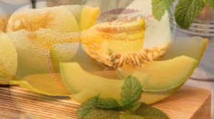 Выращивание Дыни в открытом грунте как бизнес идея