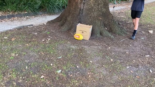 Footy Golf - Gone Wrong смотреть онлайн