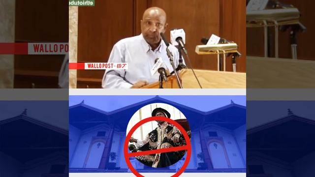 Waan Oromoo fakkaatu masaraa mootummaa kaayun dhaloota qubee bituufi - Birhanu Nega смотреть онлайн