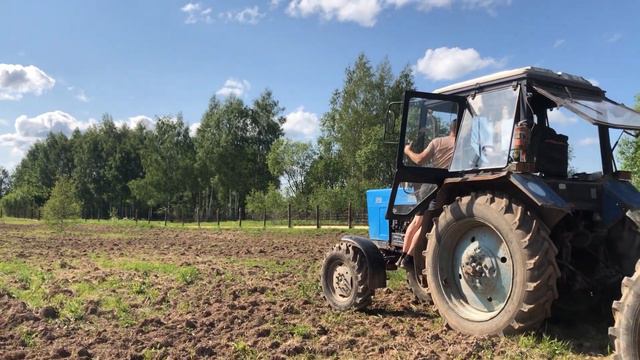 ЗАСЕВАЕМ ЛУГ / ПОДСЕВАЕМ ТРАВЫ в 2023. Ежа сборная и Фестулолиум смотреть онлайн