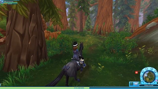 Exploring WILDWOODS - New Animals & Secrets! | Star Stable Online смотреть онлайн
