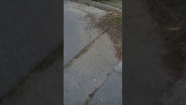 гонябсь за белками неповезло смотреть онлайн