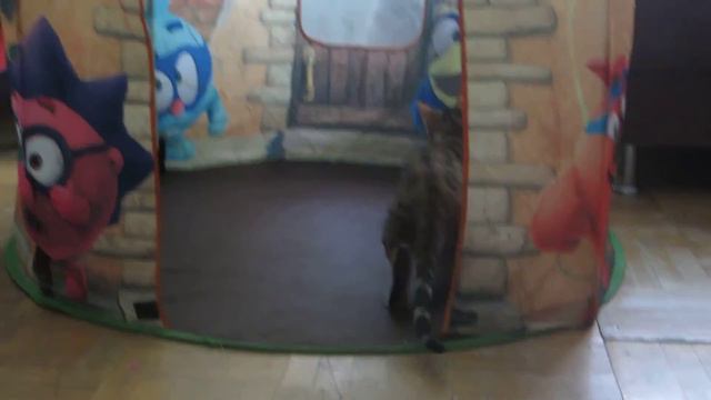 Домашний зоопарк смотреть онлайн