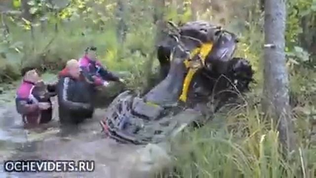 Люда, газуй!!! Кормушка Уникальное Фото Видео Приколы Гифки смотреть онлайн